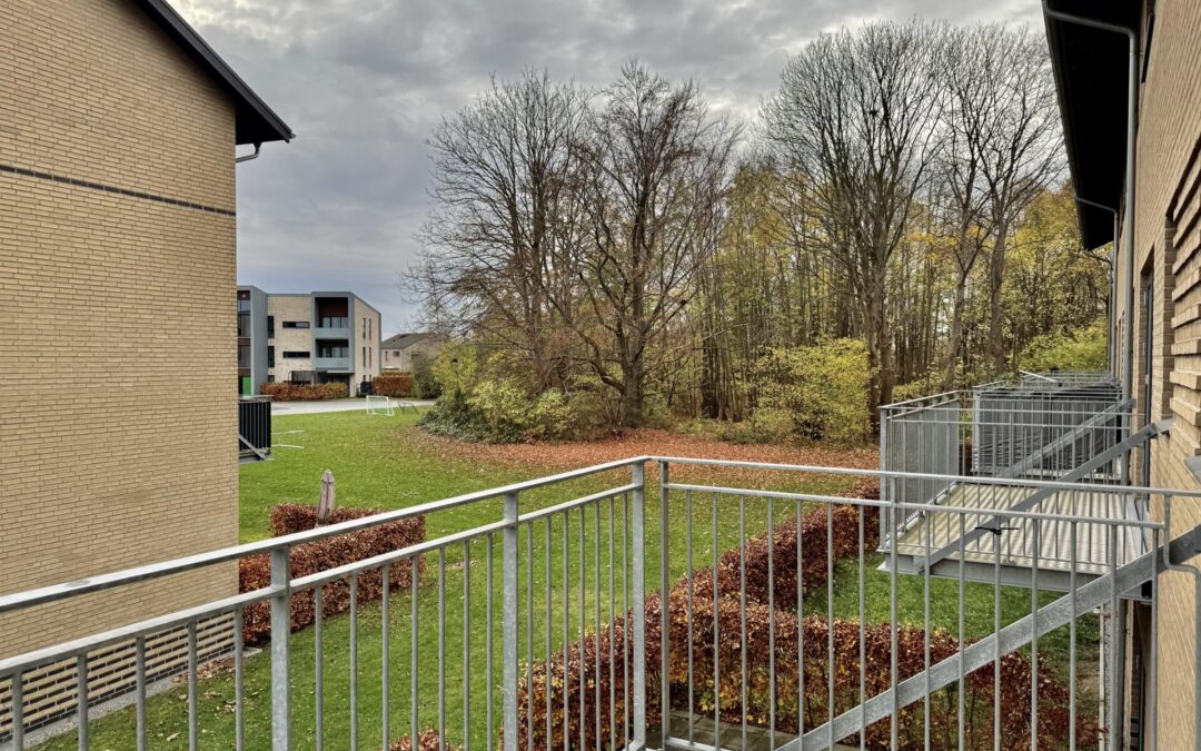 (HG sk.3.1TV) Skibhusengen