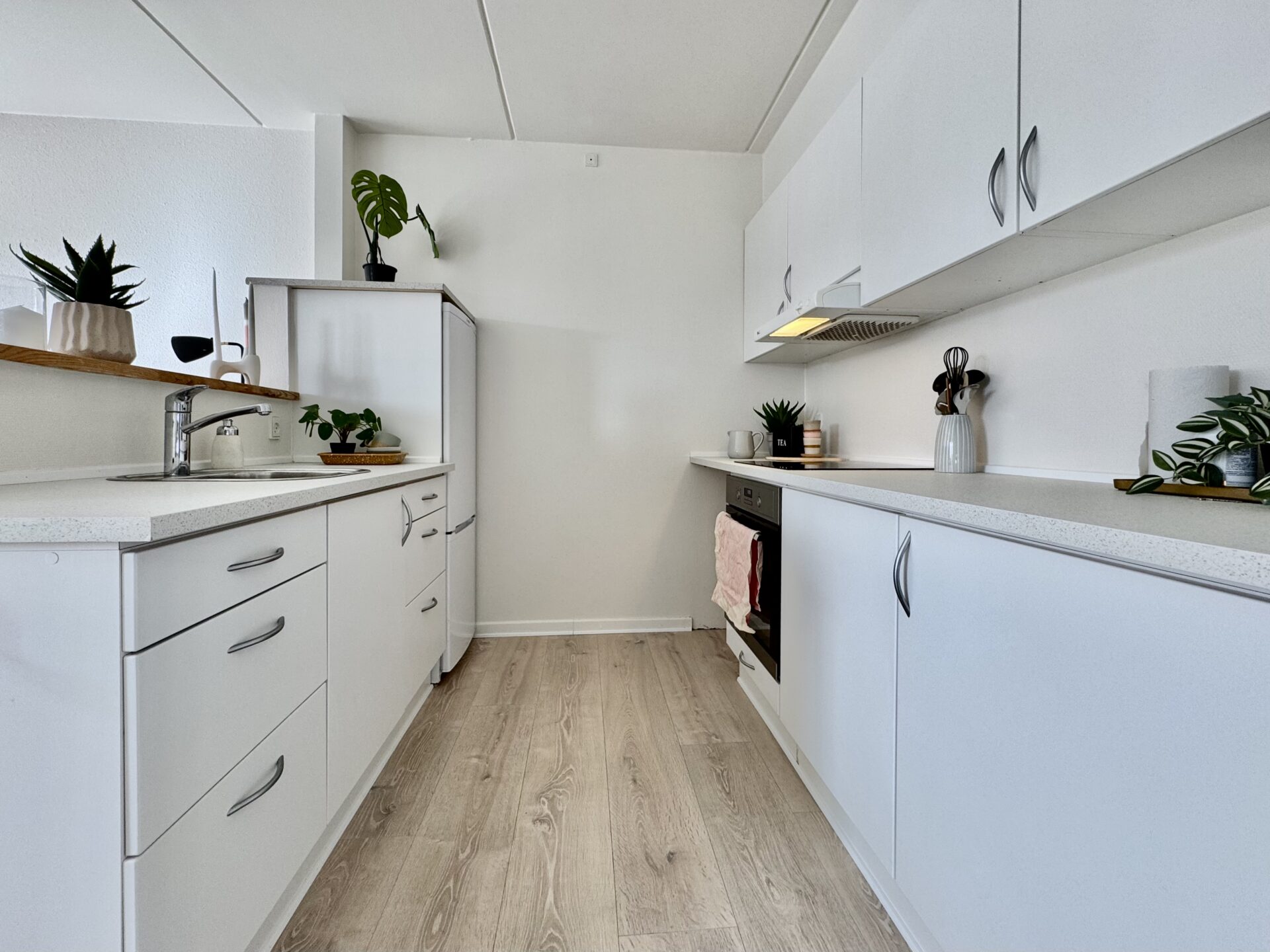 Fantastisk område med garanteret fred og ro billede 5